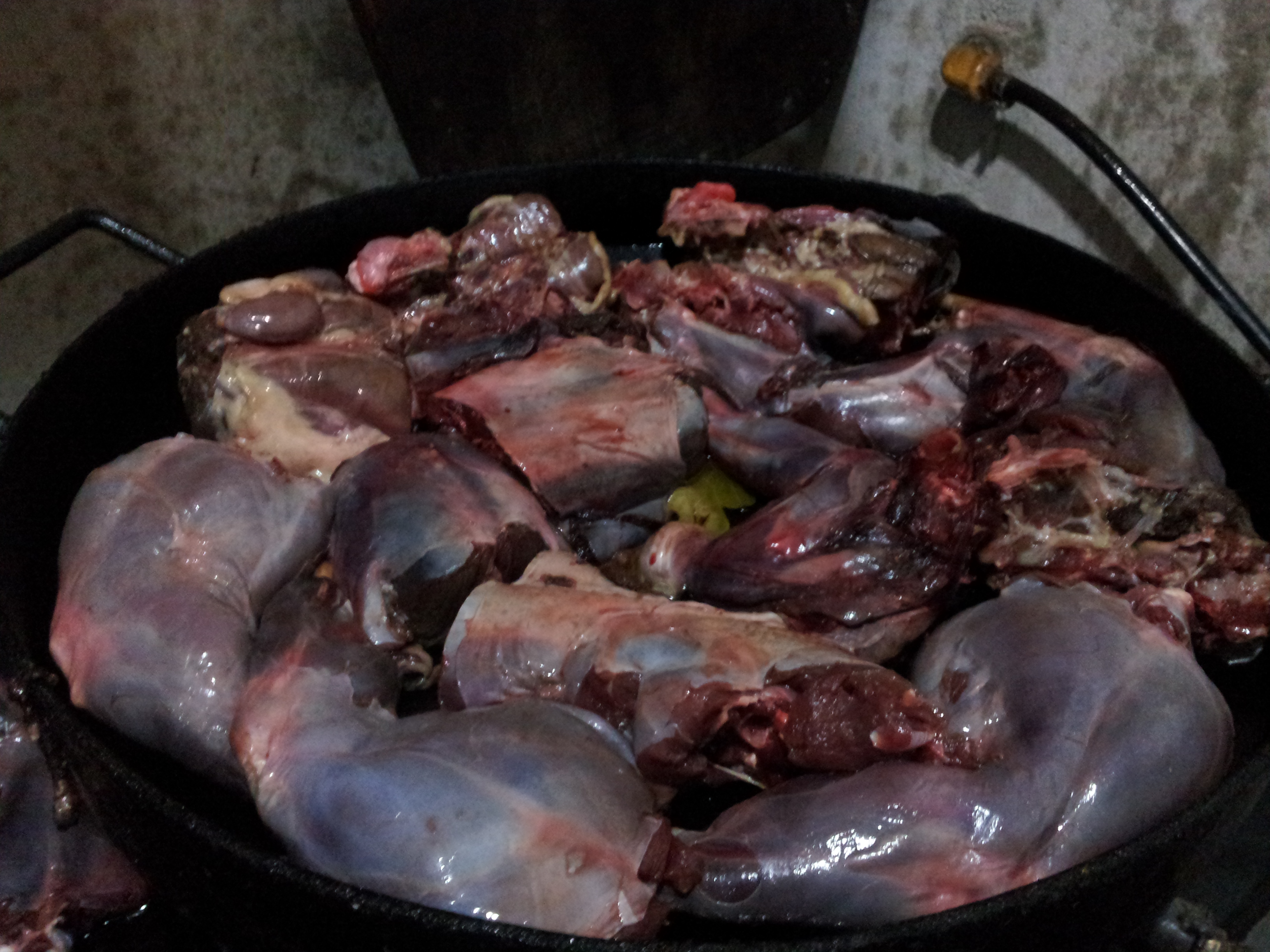 fotos/2012-12-06 - Liebre al disco/20121206_200612.jpg